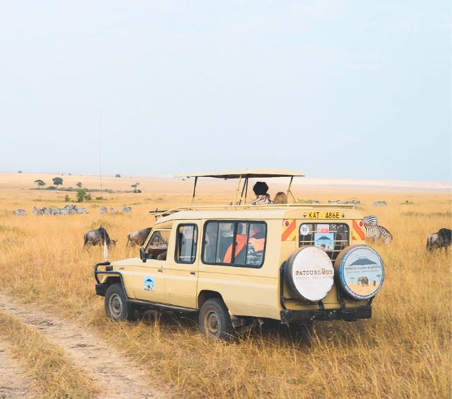 Kenya Safari