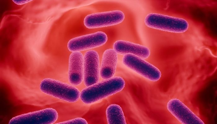 A detailed view of purple and blue bacteria-like microorganisms floating in a red environment.
