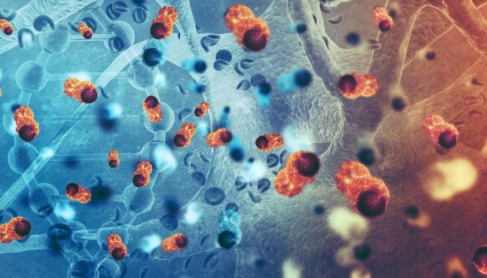 A colorful digital illustration of molecules and DNA strands representing bio-tissue preservation.