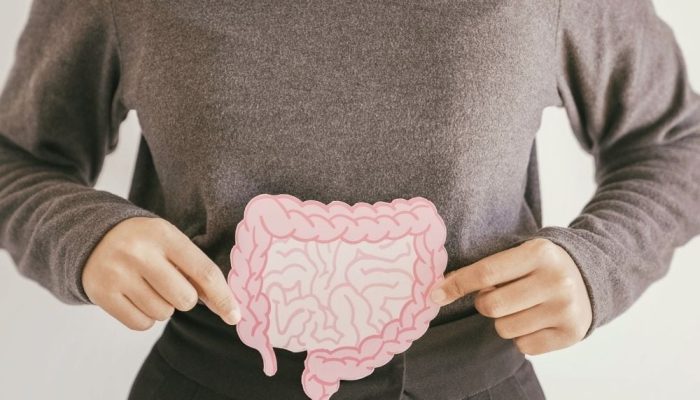 Person holding a paper cutout of a human intestine in front of their stomach.