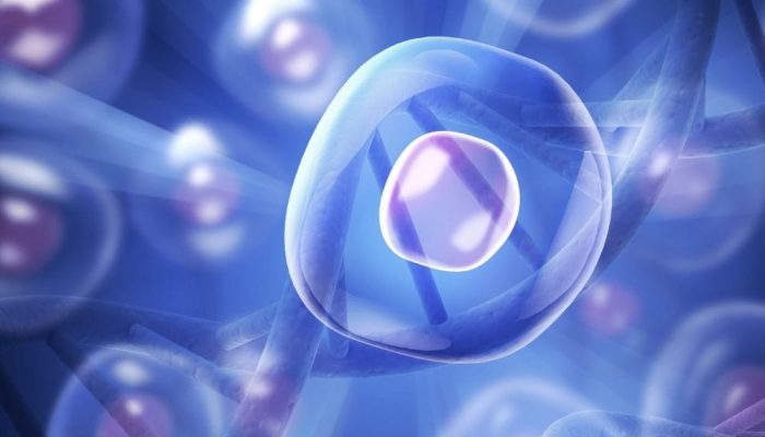 A DNA strand with a close-up view of a cell nucleus in a digital illustration.